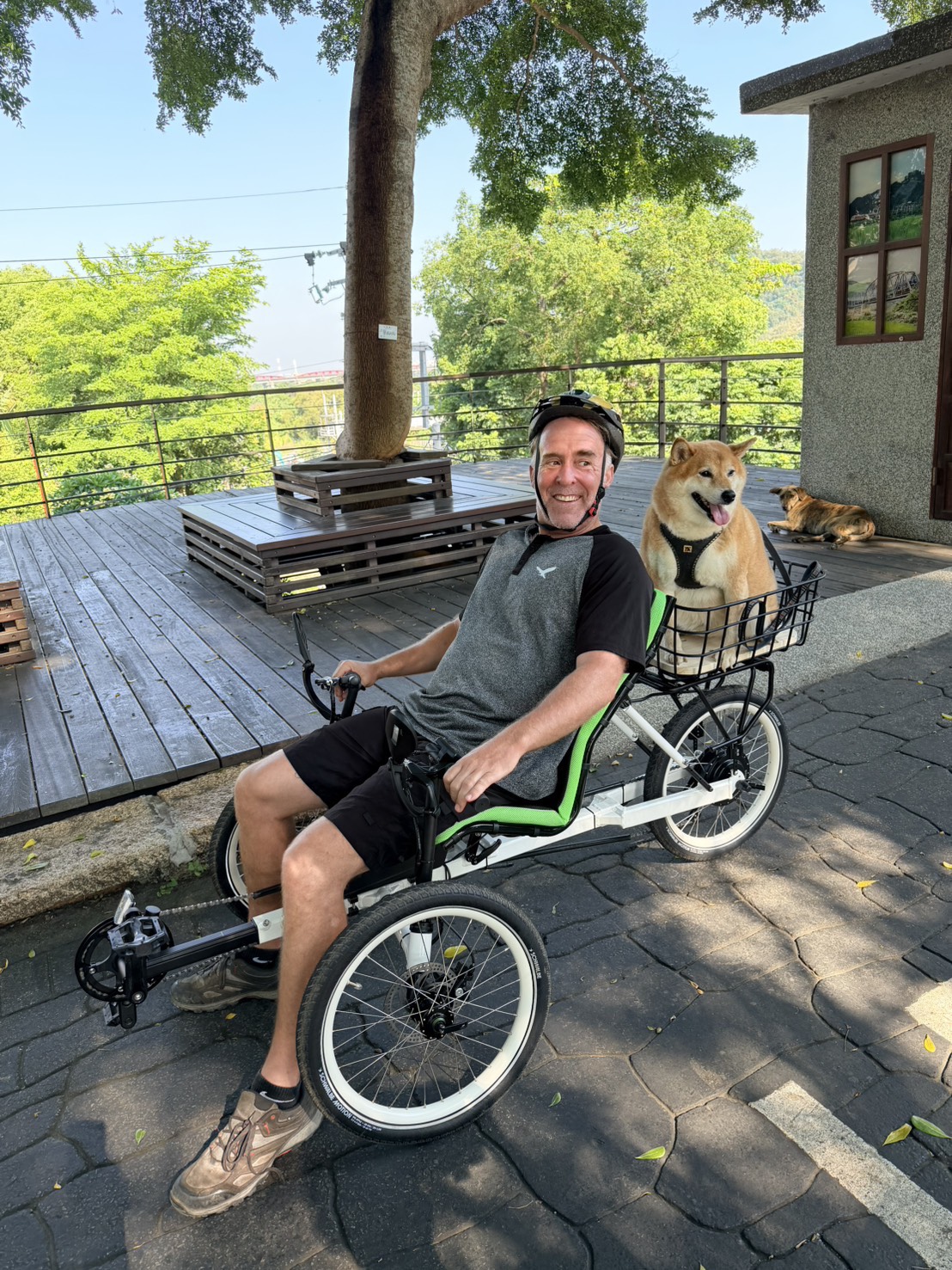 Rider and Shiba Inu on an OVELOX recumbent trike, smiling together with the dog seated in the rear pet basket