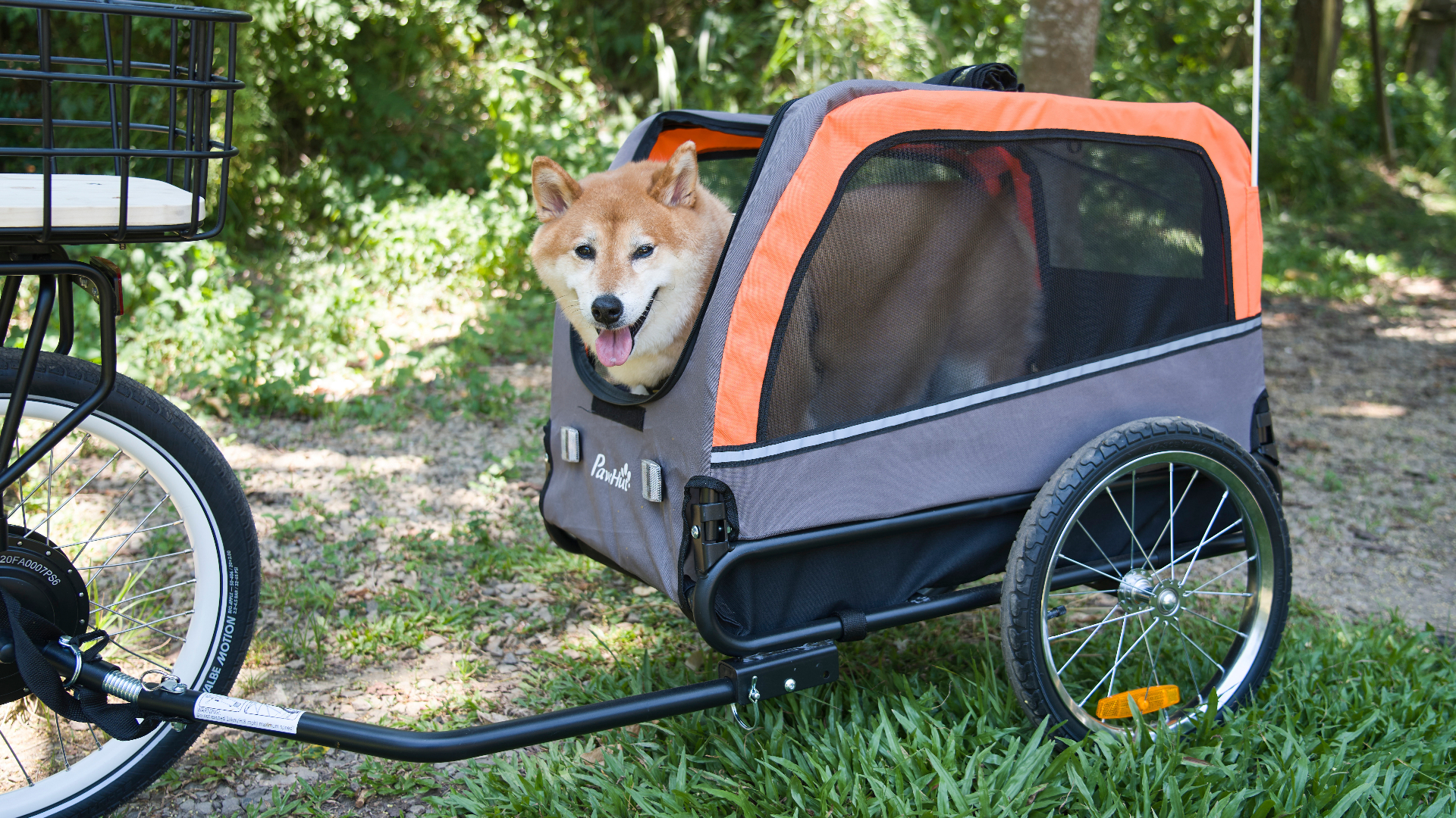 Senior couple riding electric recumbent trikes on a sunny autumn bike path with a small dog in a pet trailer