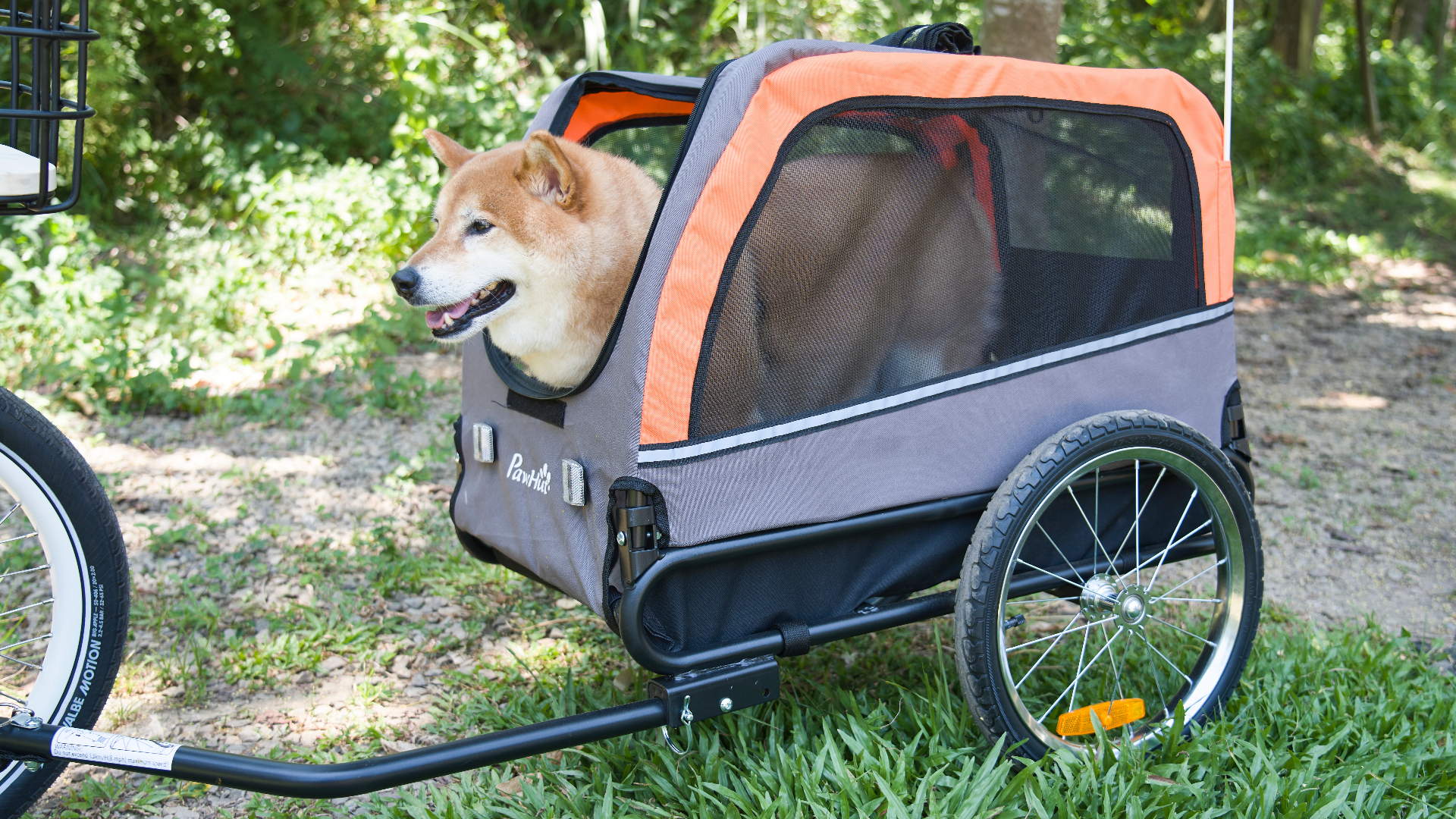 Shiba Inu inside the OVELOX dedicated pet trailer with orange-gray mesh canopy and large pneumatic wheels